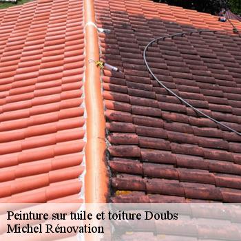 Peinture sur tuile et toiture