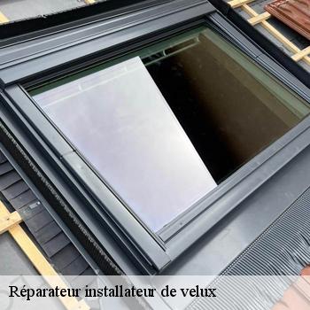 Réparateur installateur de velux