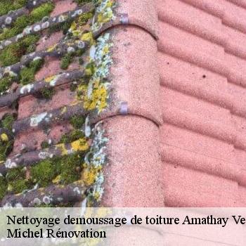 Nettoyage demoussage de toiture