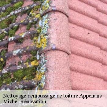 Nettoyage demoussage de toiture