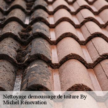 Nettoyage demoussage de toiture