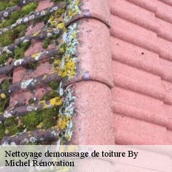 Nettoyage demoussage de toiture