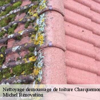 Nettoyage demoussage de toiture