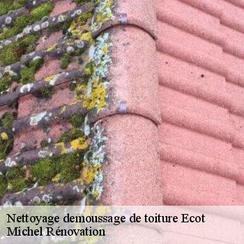 Nettoyage demoussage de toiture