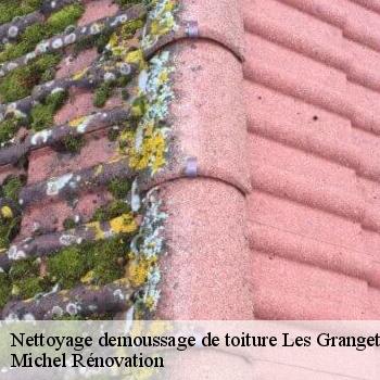 Nettoyage demoussage de toiture