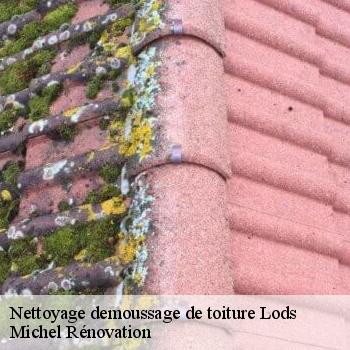 Nettoyage demoussage de toiture