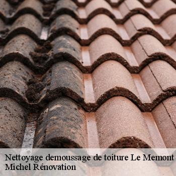 Nettoyage demoussage de toiture