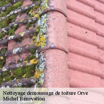 Nettoyage demoussage de toiture