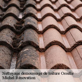 Nettoyage demoussage de toiture