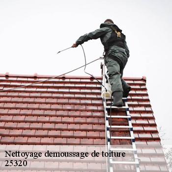 Nettoyage demoussage de toiture