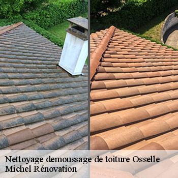 Nettoyage demoussage de toiture