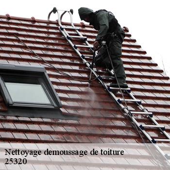 Nettoyage demoussage de toiture