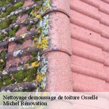 Nettoyage demoussage de toiture