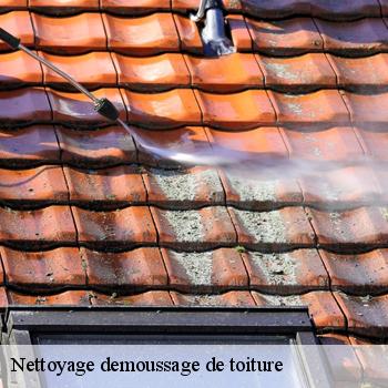 Nettoyage demoussage de toiture