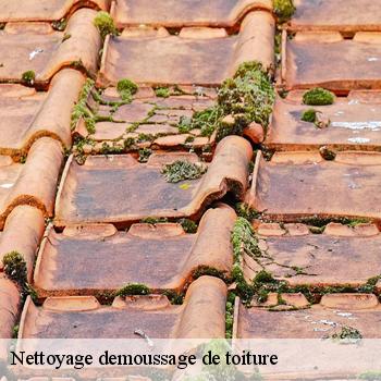 Nettoyage demoussage de toiture