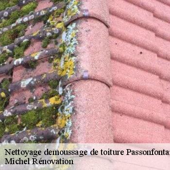 Nettoyage demoussage de toiture