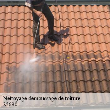 Nettoyage demoussage de toiture