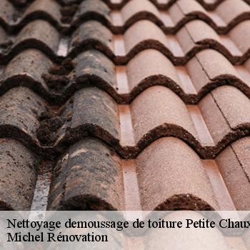 Nettoyage demoussage de toiture