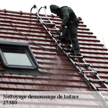 Nettoyage demoussage de toiture
