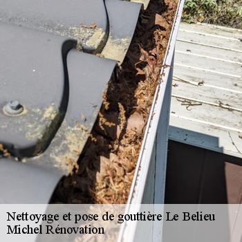Nettoyage et pose de gouttière