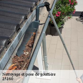 Nettoyage et pose de gouttière