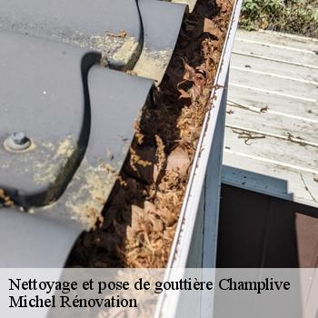 Nettoyage et pose de gouttière