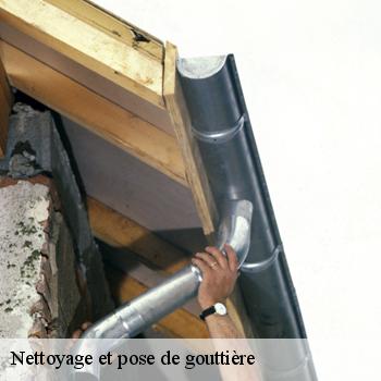 Nettoyage et pose de gouttière