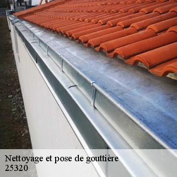 Nettoyage et pose de gouttière