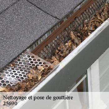 Nettoyage et pose de gouttière