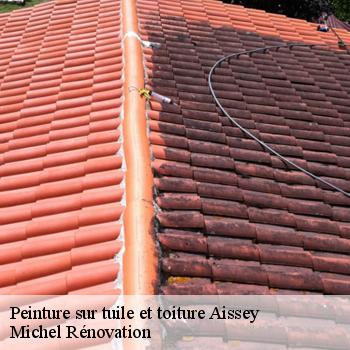Peinture sur tuile et toiture