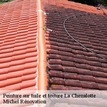 Peinture sur tuile et toiture