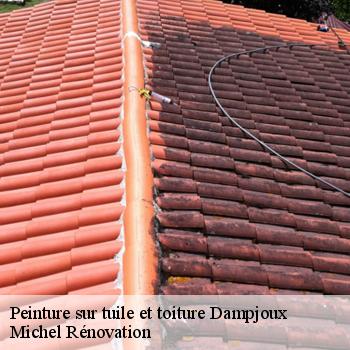 Peinture sur tuile et toiture