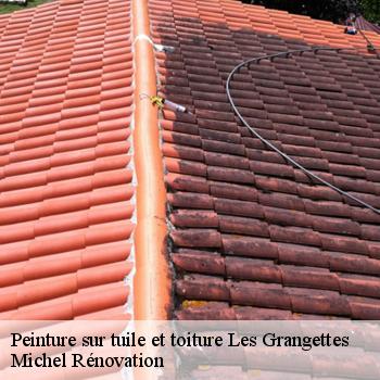 Peinture sur tuile et toiture
