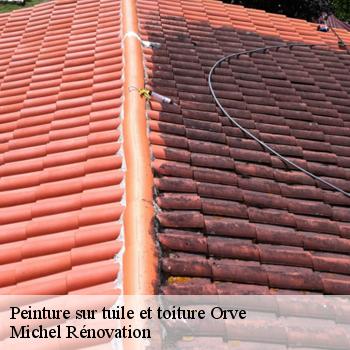 Peinture sur tuile et toiture