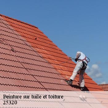 Peinture sur tuile et toiture