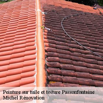 Peinture sur tuile et toiture