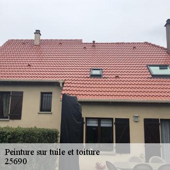 Peinture sur tuile et toiture