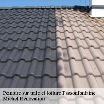 Peinture sur tuile et toiture