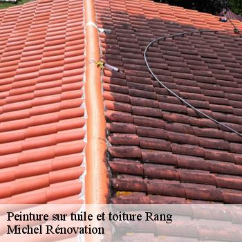 Peinture sur tuile et toiture