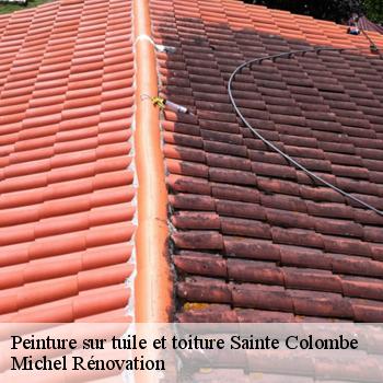 Peinture sur tuile et toiture
