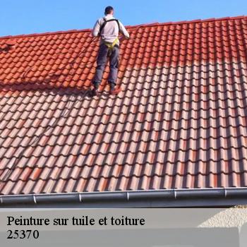 Peinture sur tuile et toiture