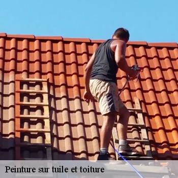 Peinture sur tuile et toiture