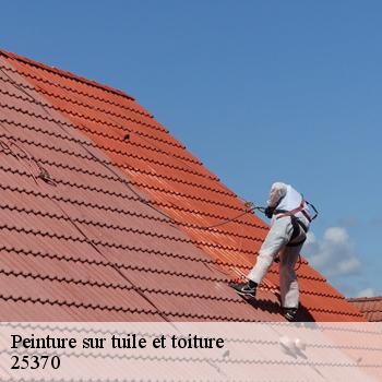 Peinture sur tuile et toiture