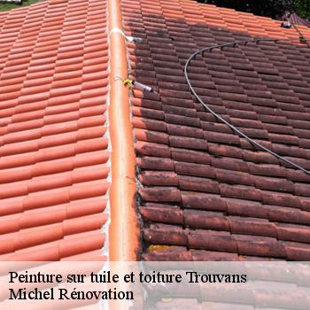 Peinture sur tuile et toiture