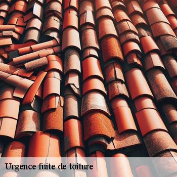 Urgence fuite de toiture