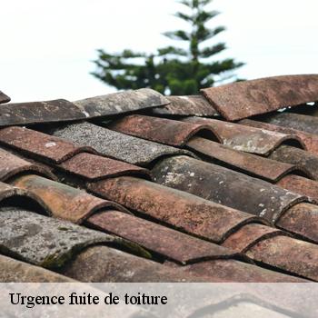 Urgence fuite de toiture