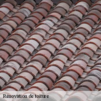 Rénovation de toiture