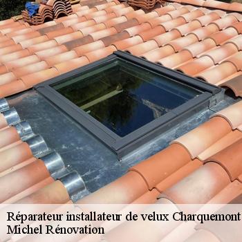 Réparateur installateur de velux