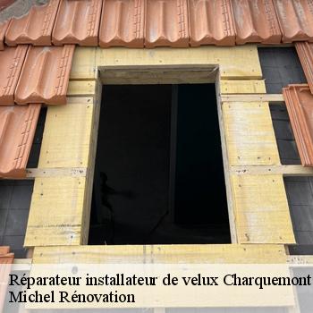 Réparateur installateur de velux