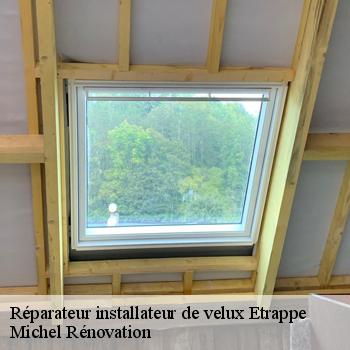 Réparateur installateur de velux